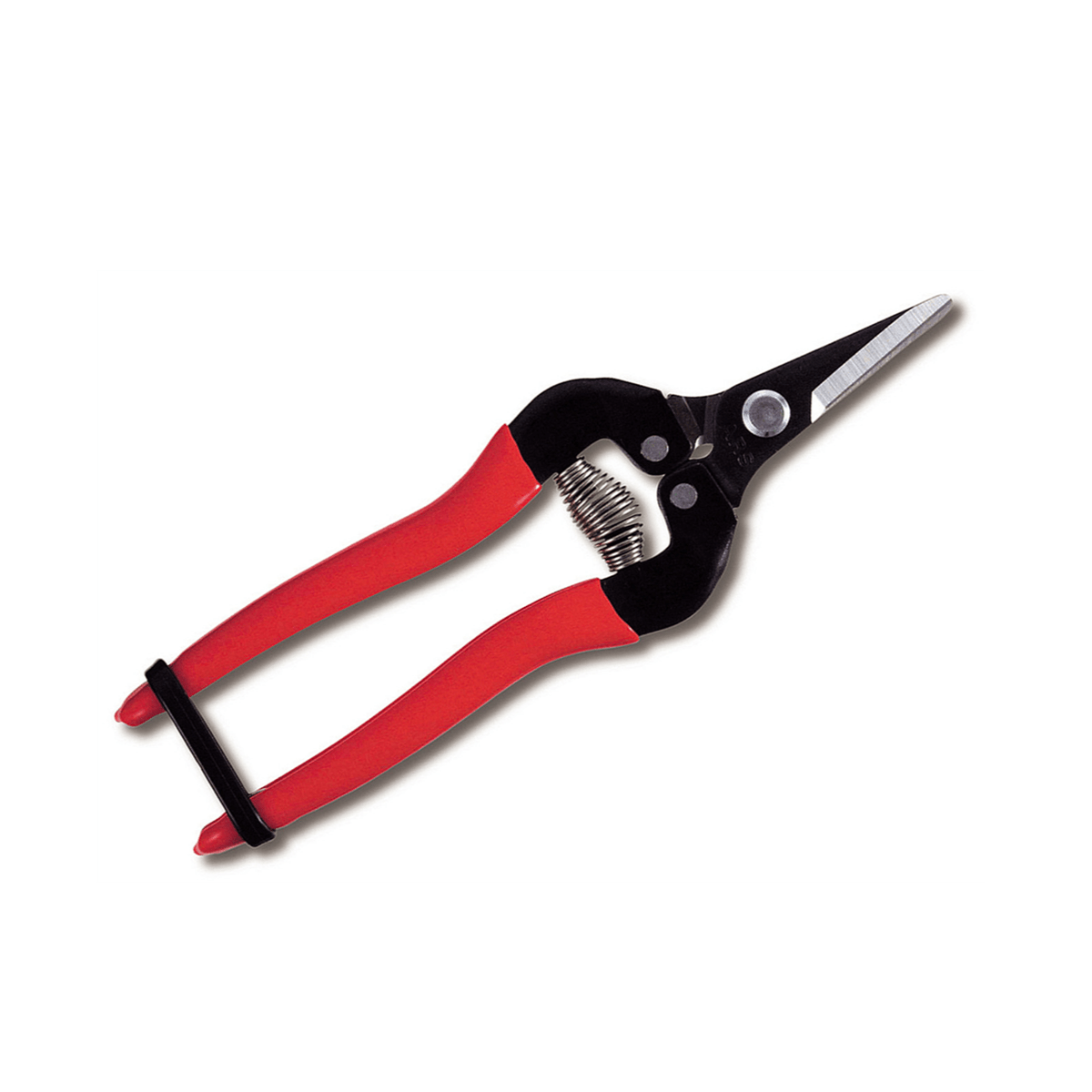 ARS 300SS Short-Blade Fruit Pruner