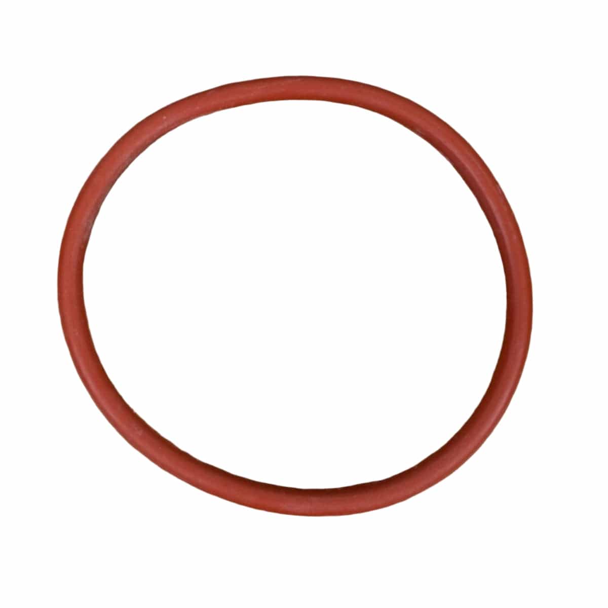 Solo Tank Lid Gasket | 4061345