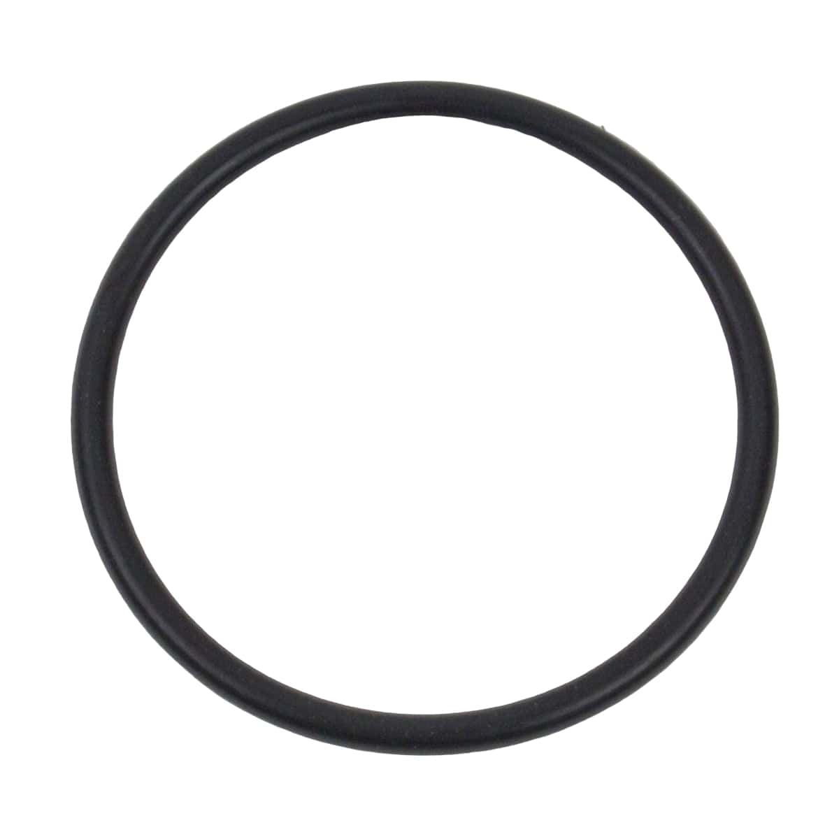 Solo Replacement O-Ring | 0062140