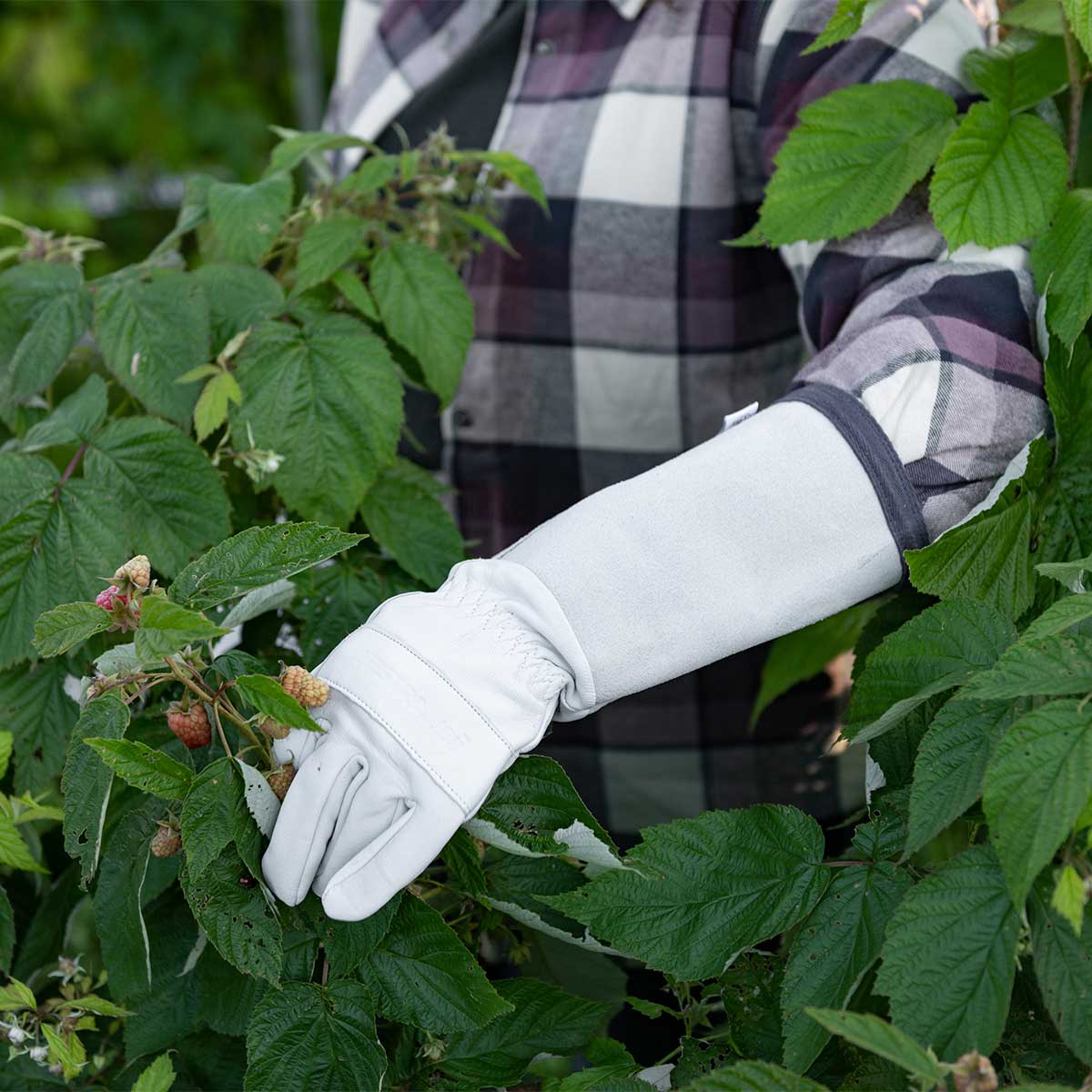 Hestra Garden Rose Gloves In Use+++Hestra Garden Rose Gloves In Use