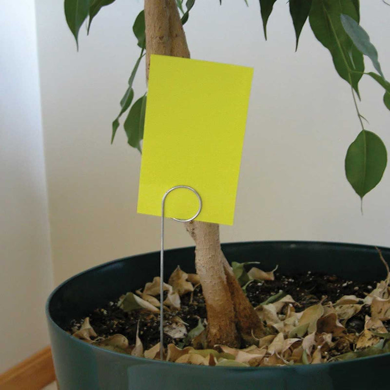 3" x 5" Yellow Sticky Cards and Wire Holders | 9 Pack