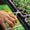 ARS Grape Scissors| 5 Pack
