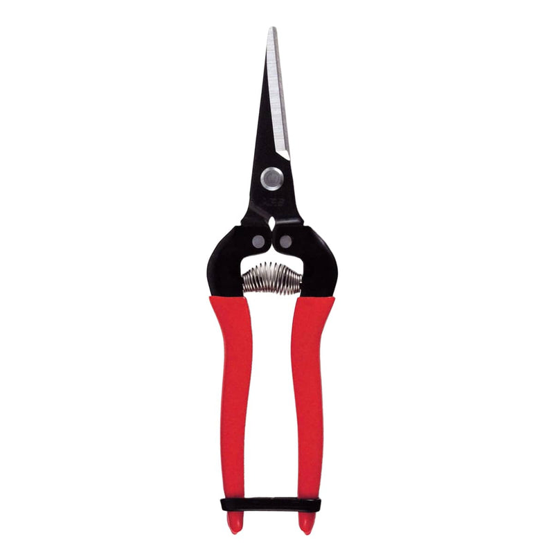 ARS 300L Needlenose Fruit Snips