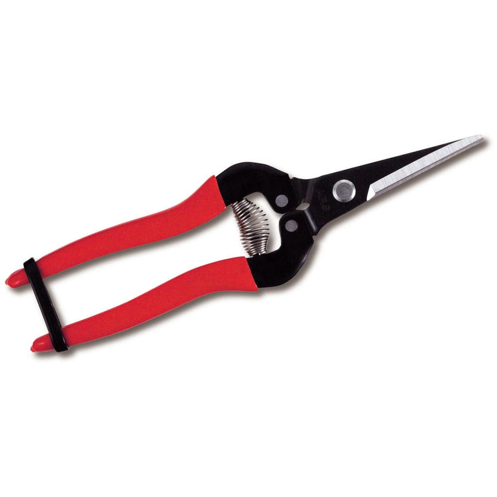 ARS 300L Needlenose Fruit Snips| 5 Pack