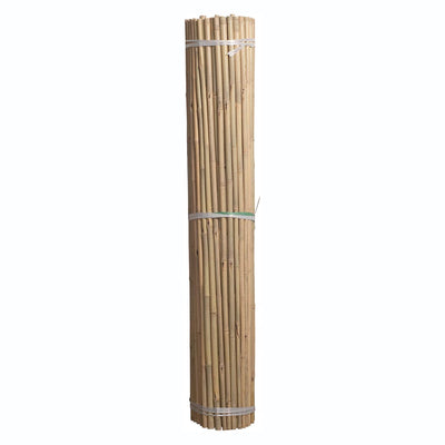 Bamboo Stakes