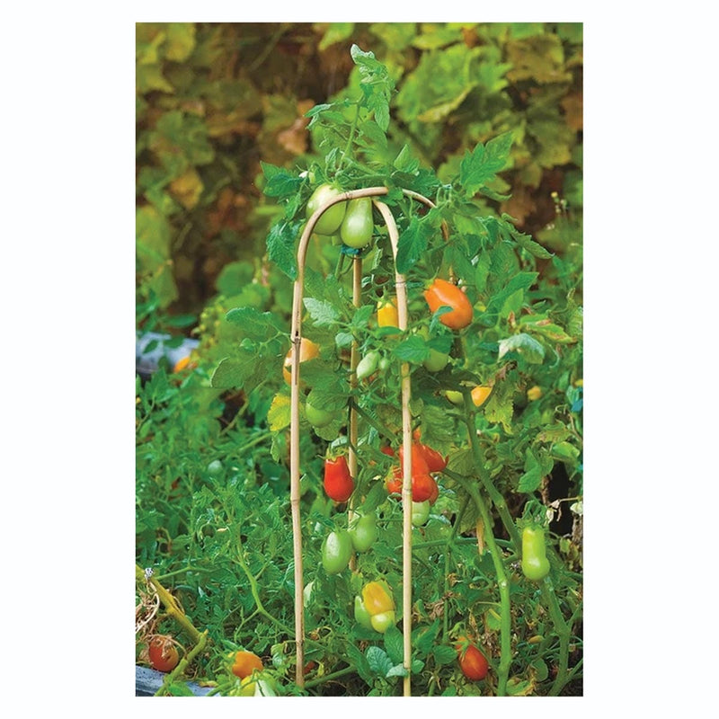 hoop trellis for potted plants Bamboo "U" Hoop Trellis