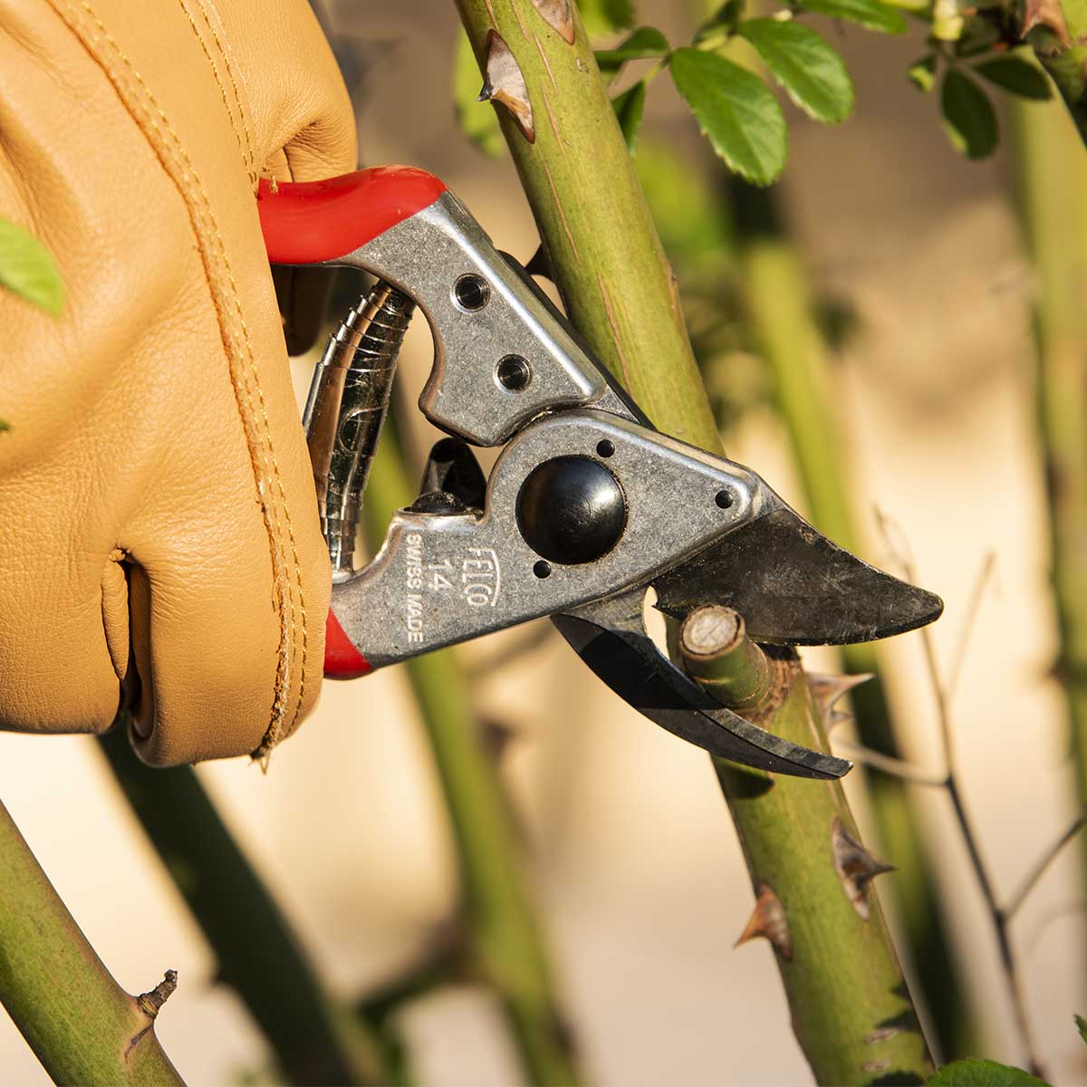 FELCO 14 Ergonomic, Small Hand Pruner