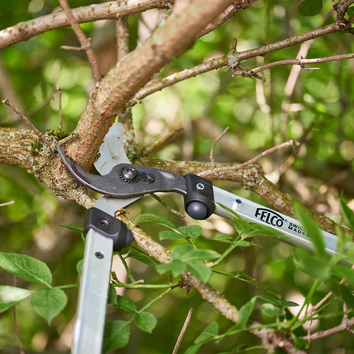 FELCO 211-60 Lopper, Curved Cutting Head, 23.6"