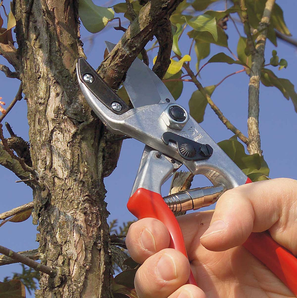 FELCO 31 Anvil Hand Pruner