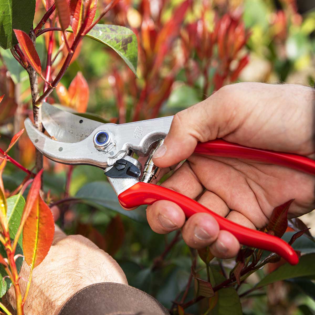 FELCO 4 Basic Hand Pruner
