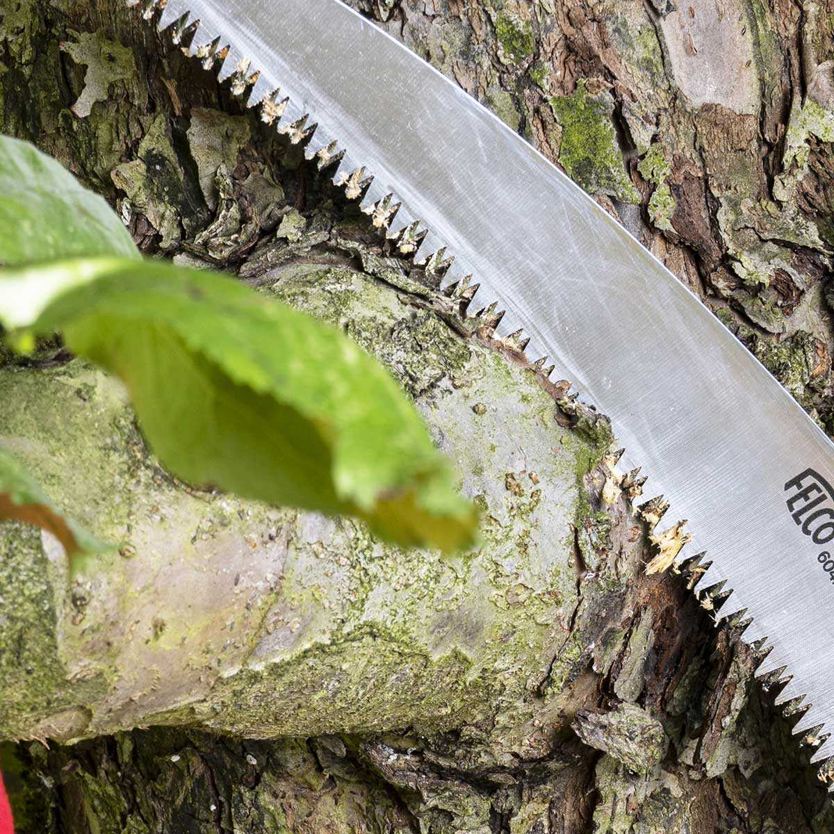 FELCO 604 ErgoReach Folding Saw, 10 in. Blade Closeup In Use+++FELCO 604 ErgoReach Folding Saw, 10 in. Blade Closeup In Use