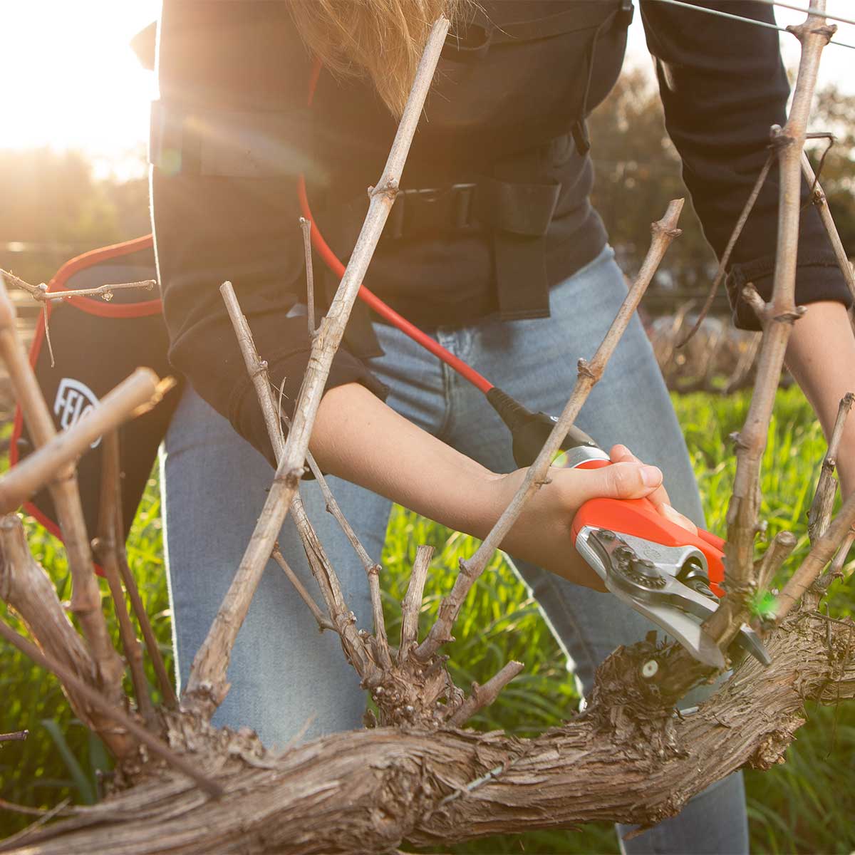 FELCO 812 Electric Pruner Kit with Standard Capacity Battery