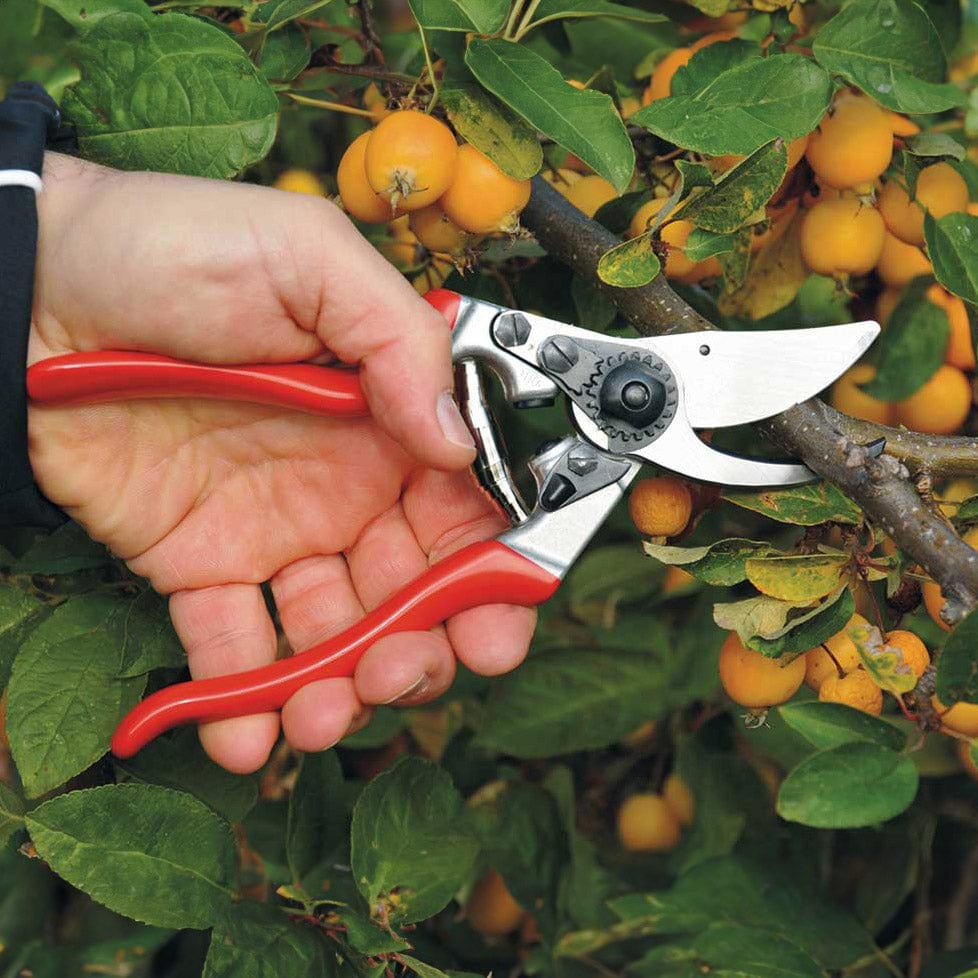 FELCO 9 Ergonomic, Left-Handed Hand Pruner