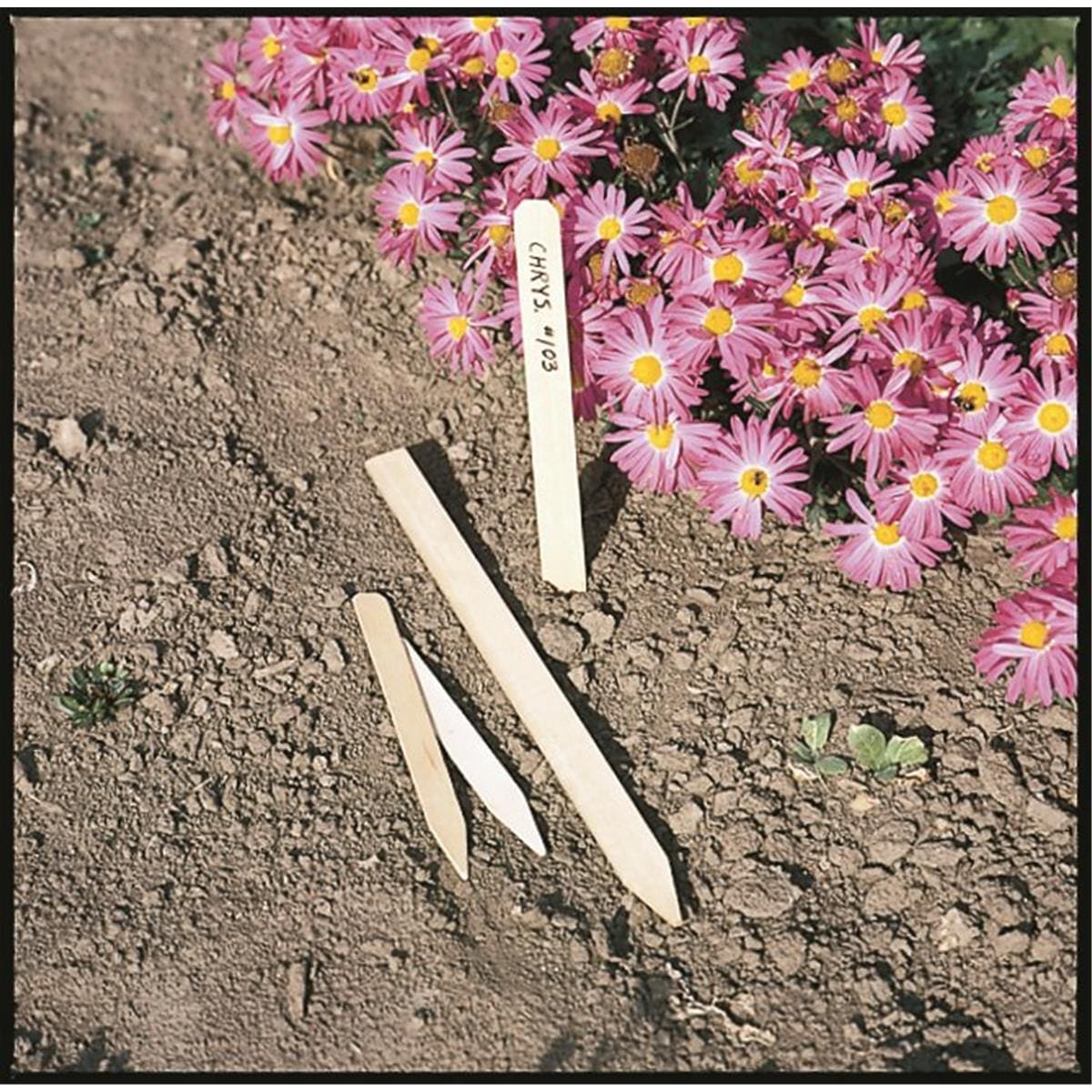 Bulk Natural Wood Field Stakes, 1/4 " Width, 100 Pack