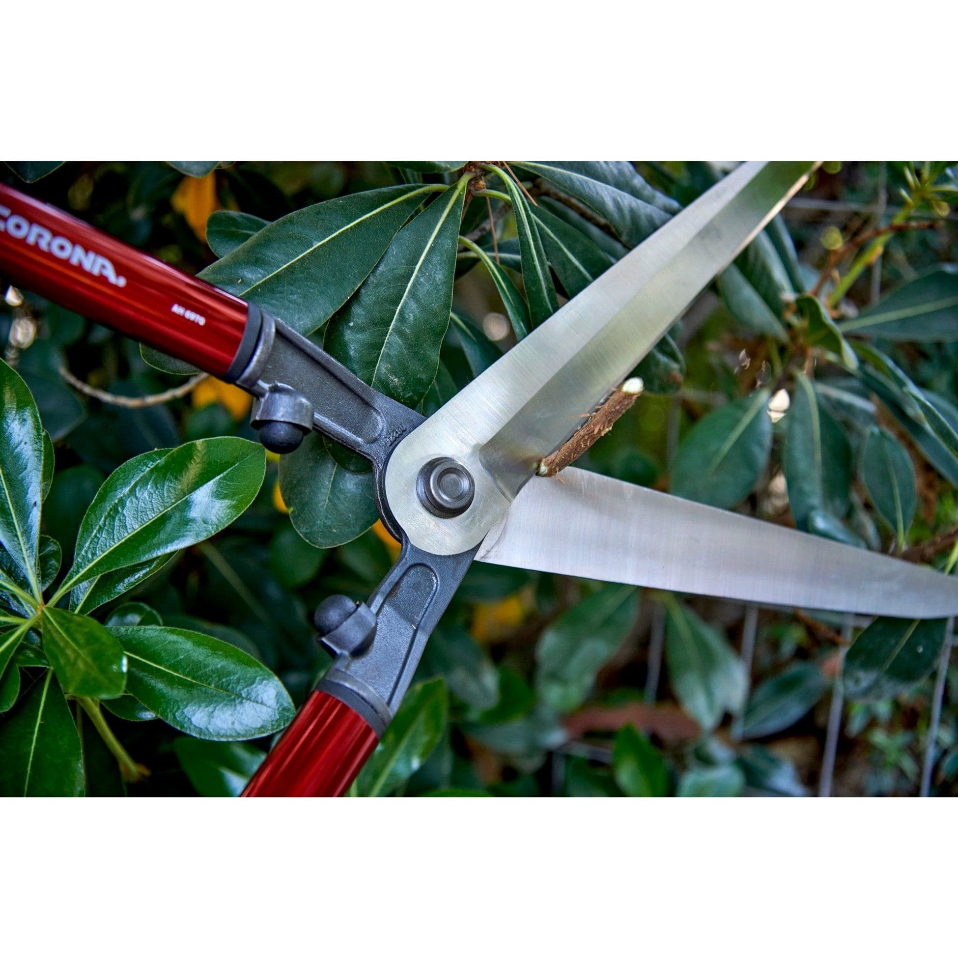 Corona Hedge Shears AH 6970, 10.5" Blade