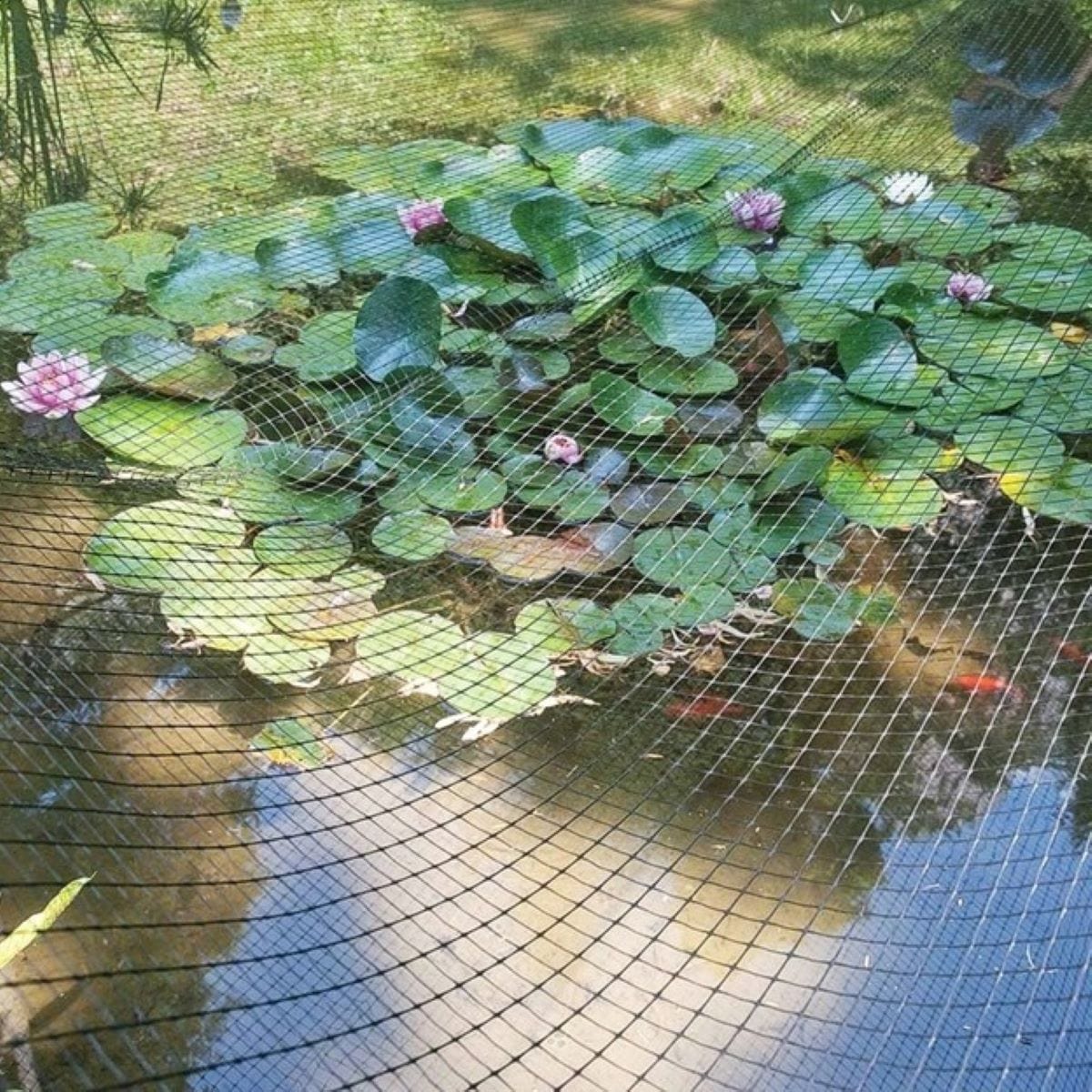 Tenax Plant & Pond Bird Net
