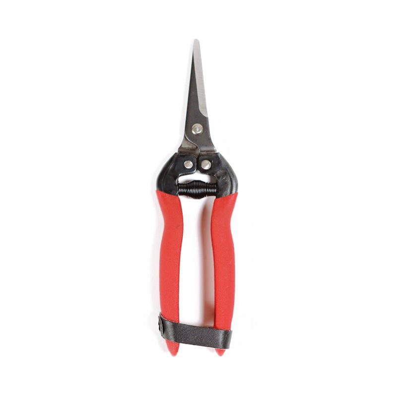 Gemplers Needlenose Fruit Pruner