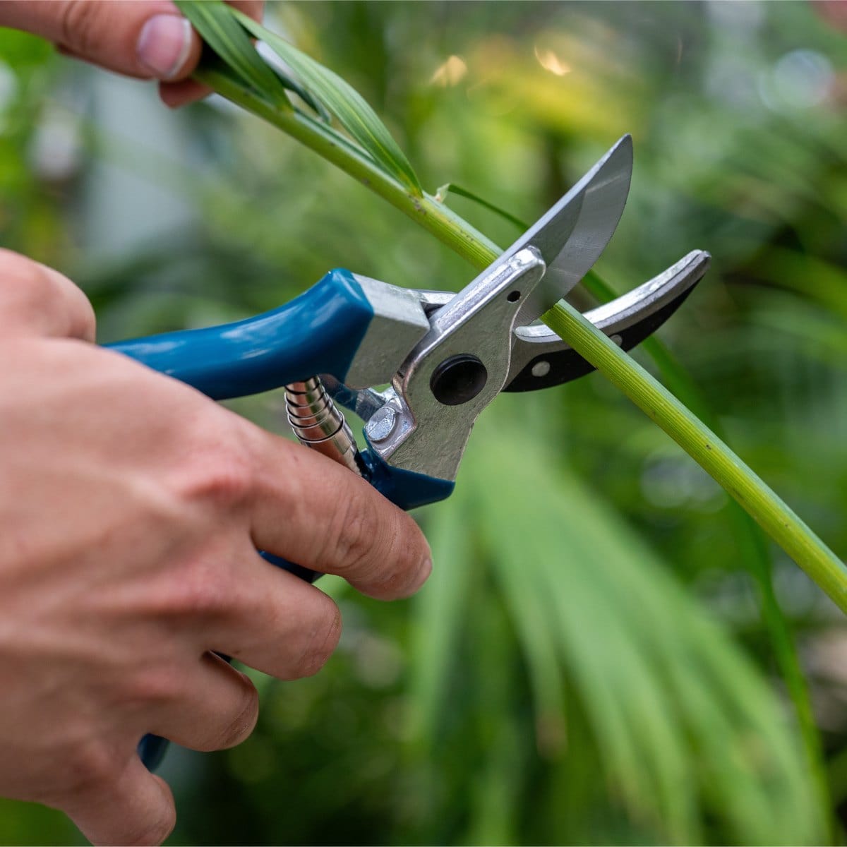 Gemplers Low-Cost Bypass Pruner