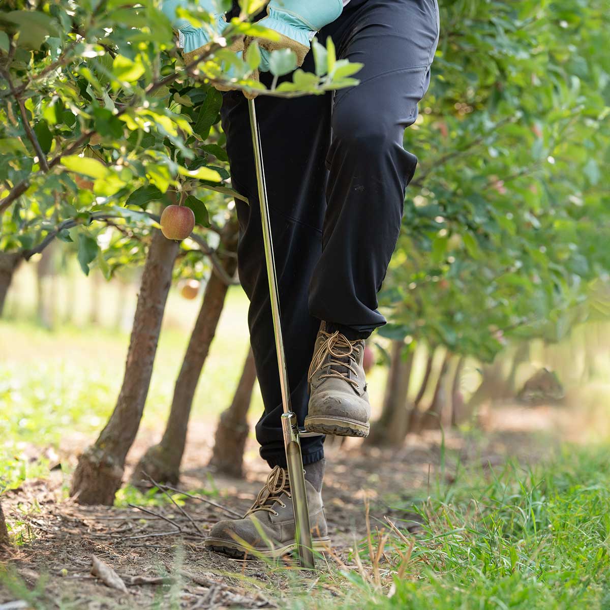 Oakfield Apparatus One-Piece Soil Probe W/ Footstep 36" In Use+++Oakfield Apparatus One-Piece Soil Probe W/ Footstep 36" In Use