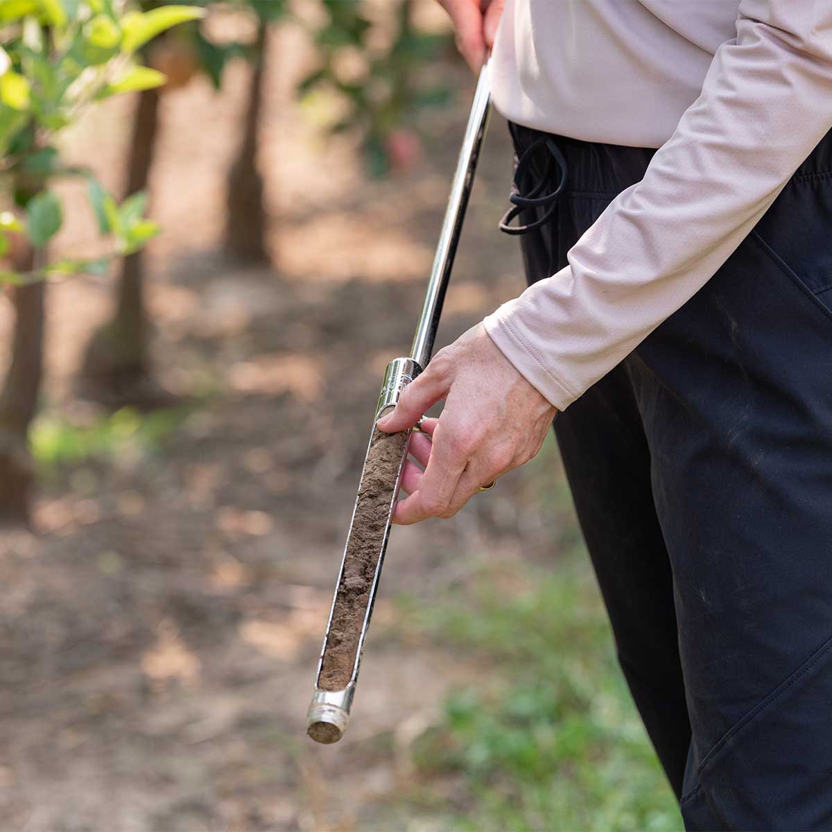 Oakfield Apparatus One-Piece Soil Probe W/ Footstep 36" in use