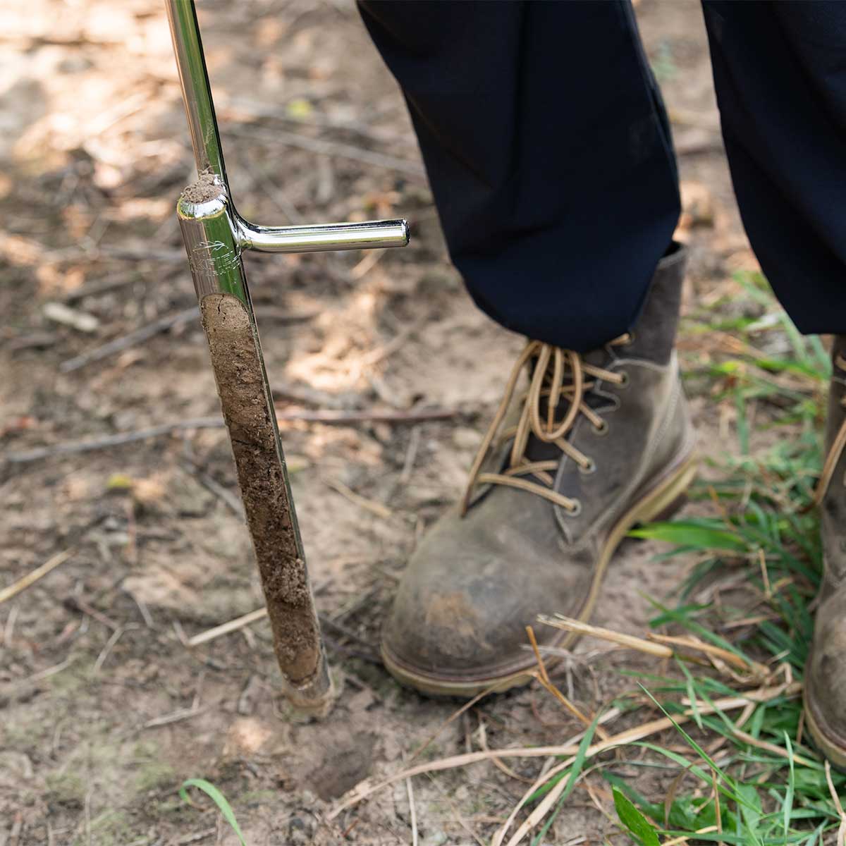 Oakfield Apparatus One-Piece Soil Probe W/ Footstep 36" in use