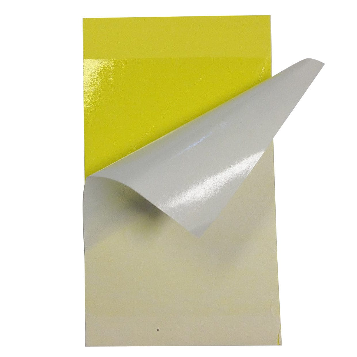3 x 5 Double-Sided Yellow Sticky Card Insect Traps 72 Count
