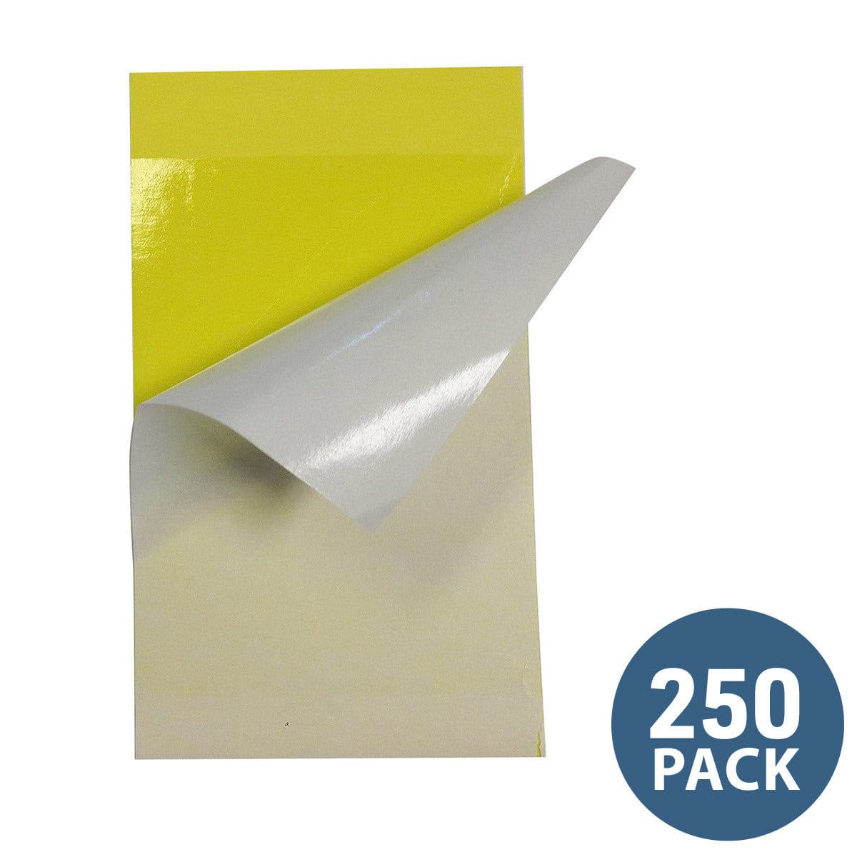 3" W x 5" L Insect Control Yellow Sticky Traps | 250 Pack
