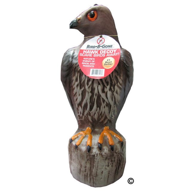 Hawk Decoy