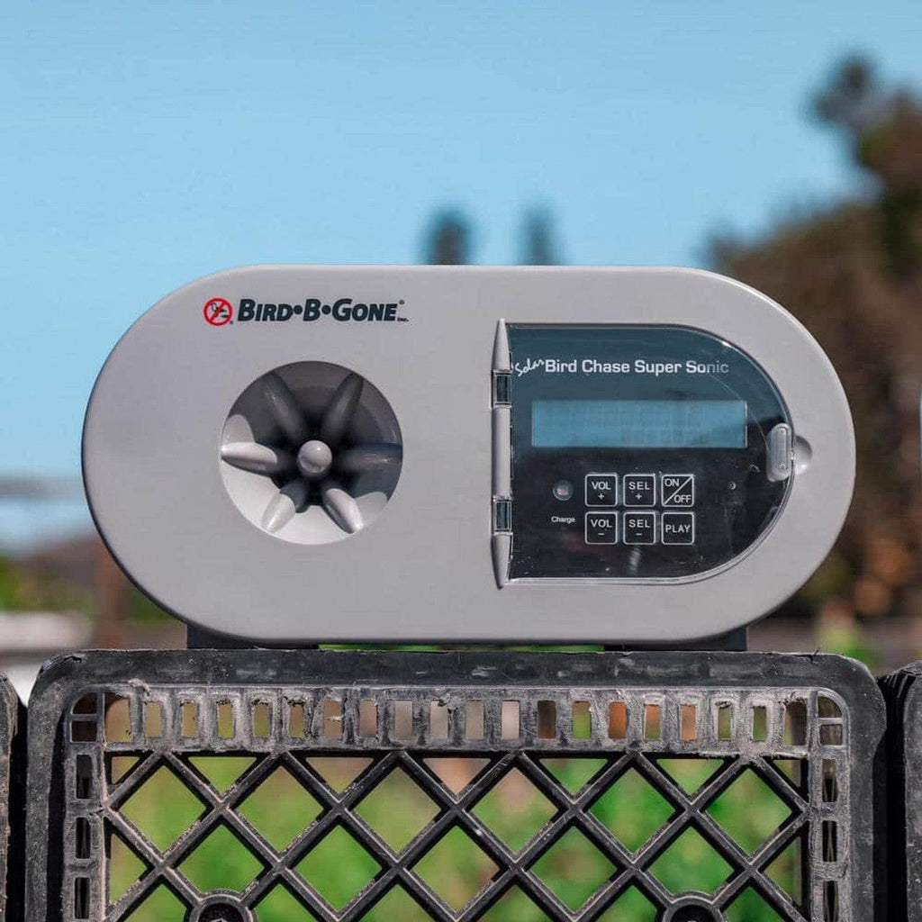 Bird Chase Solar-Powered Sound Deterrent