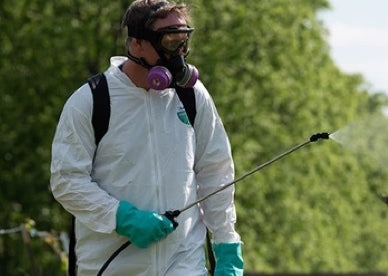 Man wearing PPE spraying a hedge
