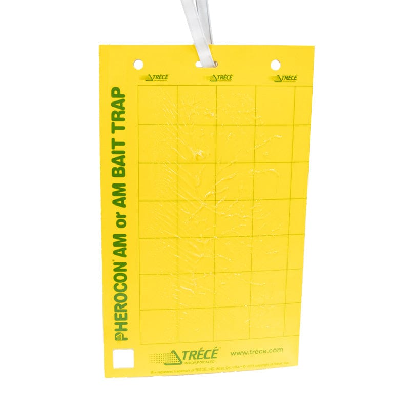 Pherocon® Baited AM Yellow Sticky Traps with Ties | Pack of 25