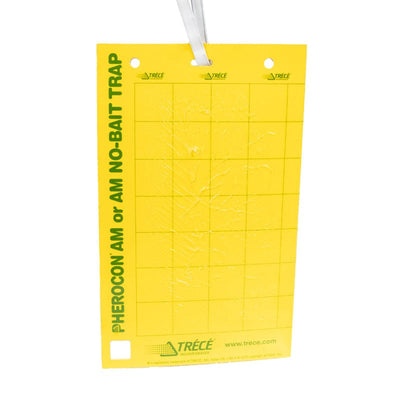 Pherocon® Unbaited AM Yellow Sticky Traps | 25 Pack