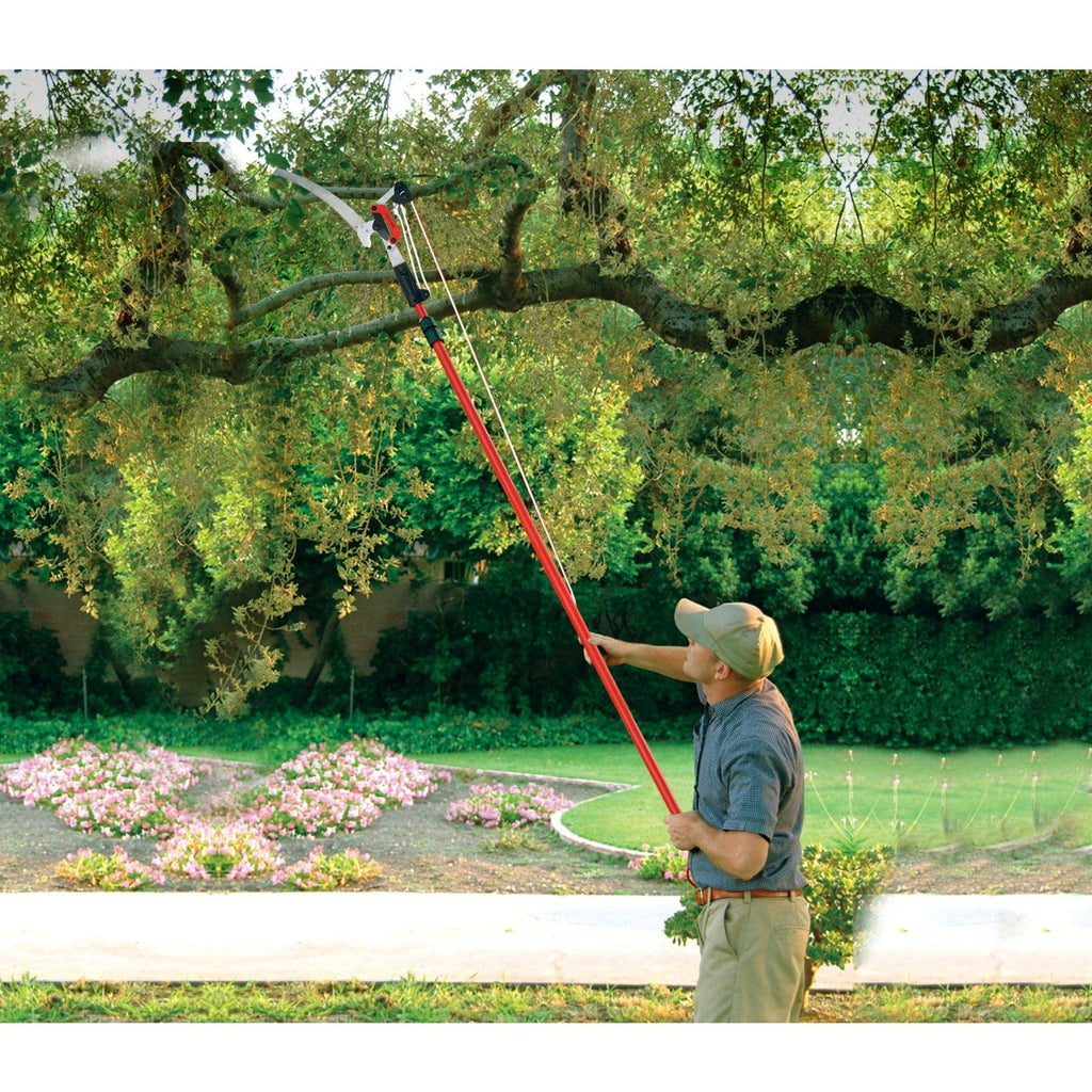 Corona DualLINK Tree Saw & Pruner, 14' L