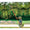 Corona DualLINK Tree Saw & Pruner, 14' L