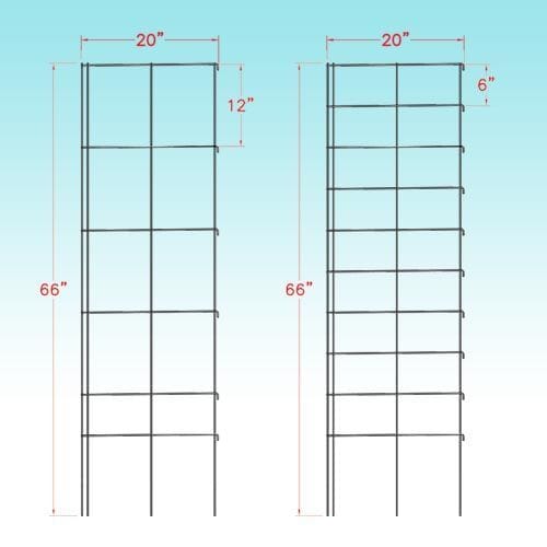Trellis System for Climbing Plants
