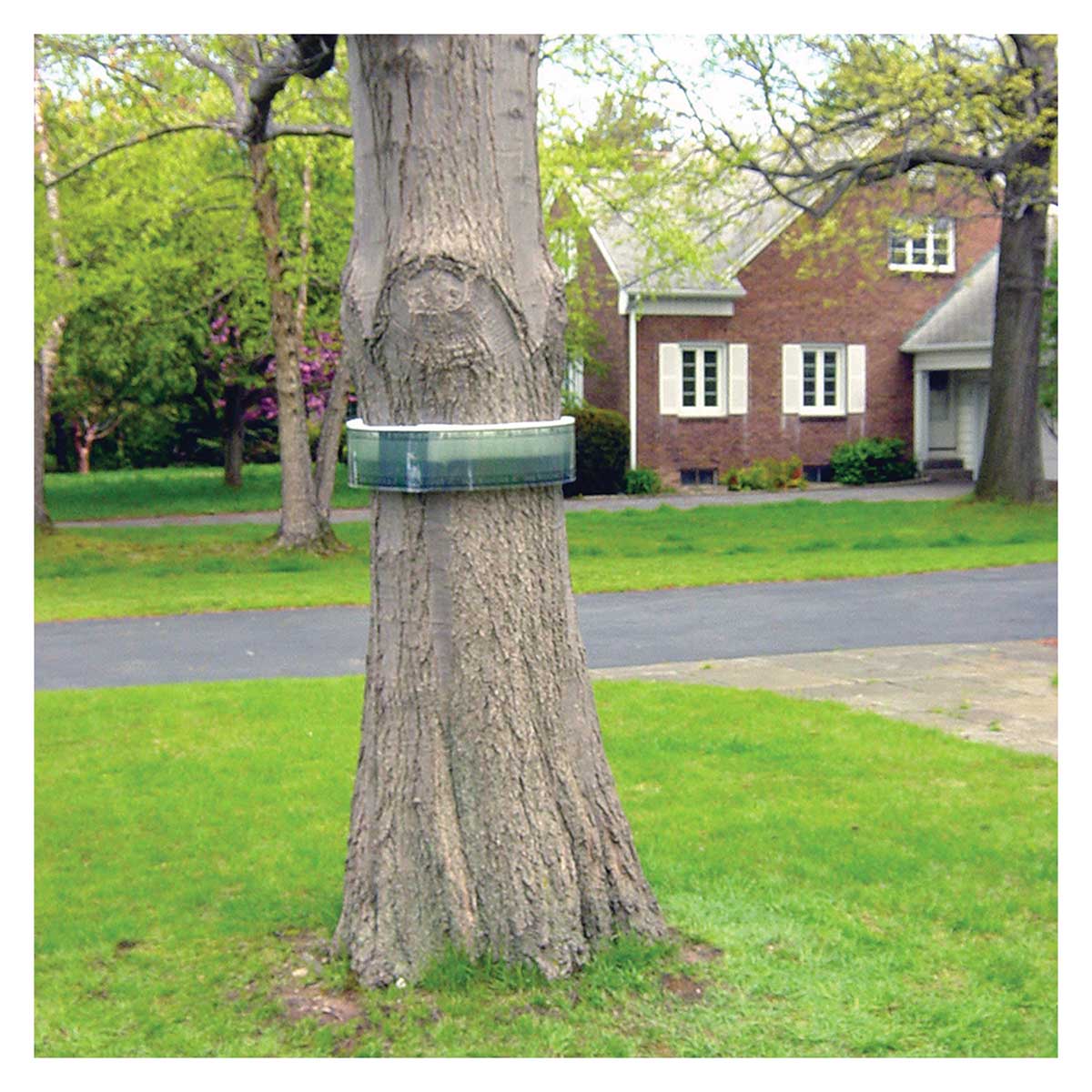 BugBarrier Tree Band