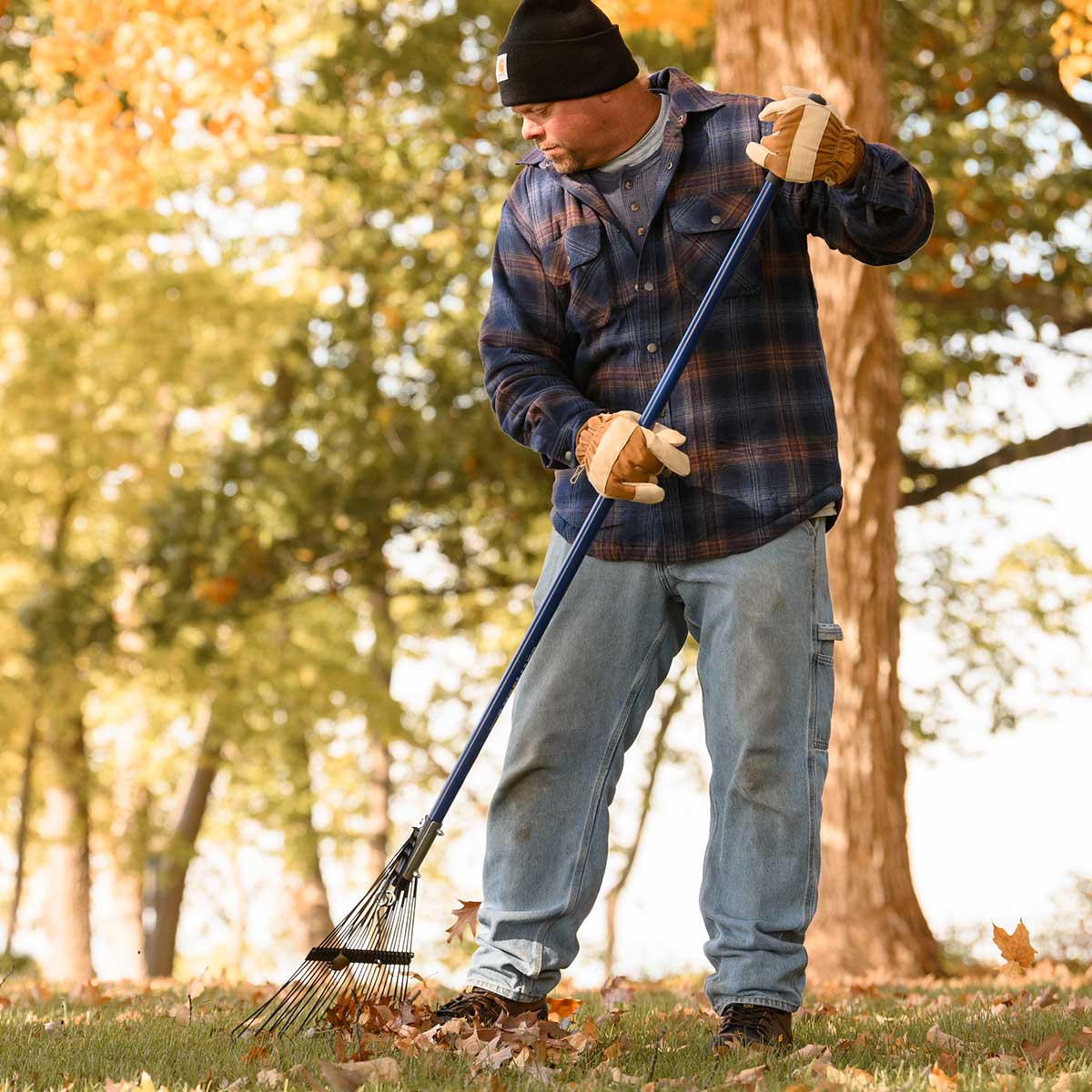 Gemplers 24-Tine Spring Brace Steel Leaf Rake with Fiberglass Handle In Use+++Gemplers 24-Tine Spring Brace Steel Leaf Rake with Fiberglass Handle In Use