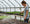 Woman watering plants in a greenhouse