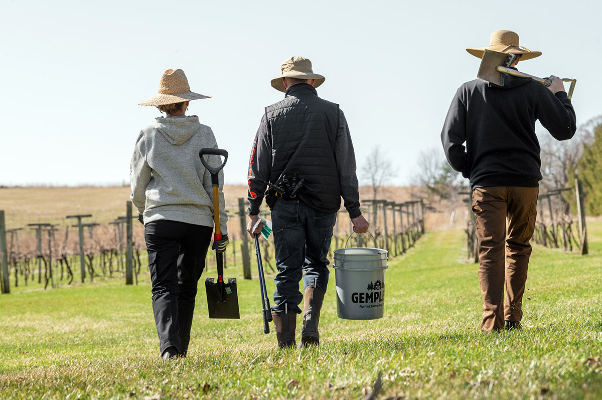 three people with shovels, pruners, and other tools walk towards a vineyard in spring to do landscaping work