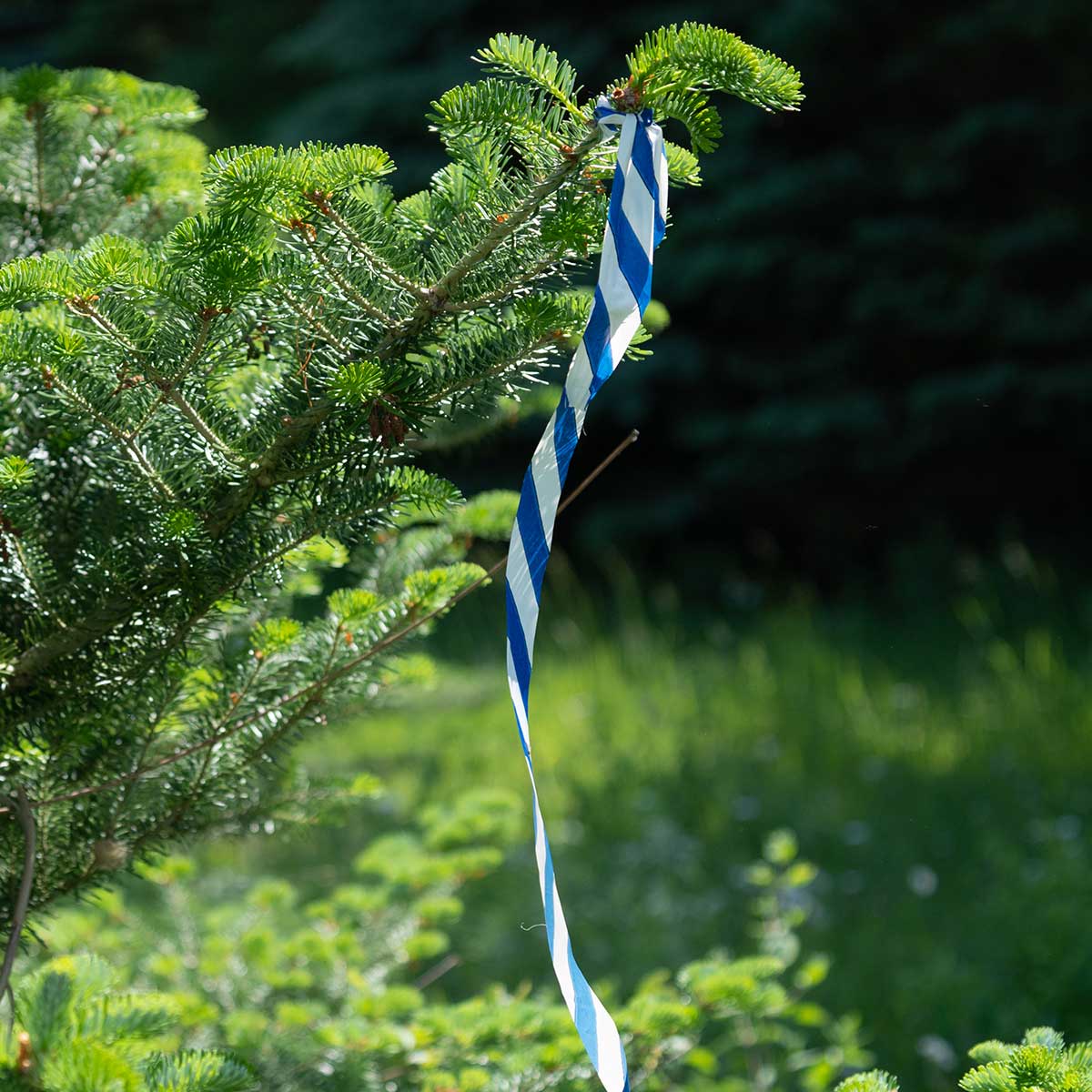 Patterned Flagging Tape