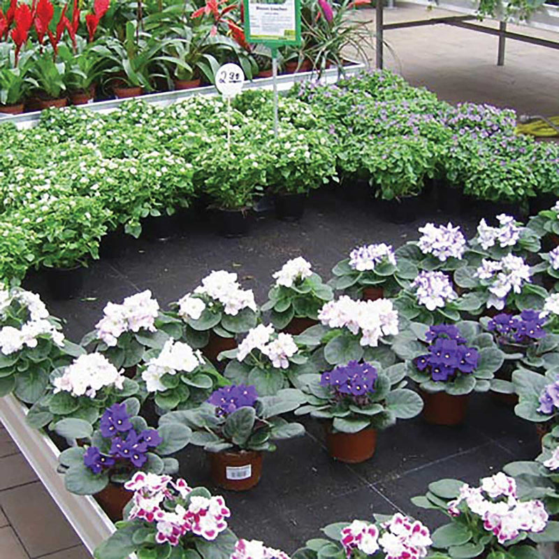 Dramm FloraPlus 2-Layer Capillary Mats, No Backing