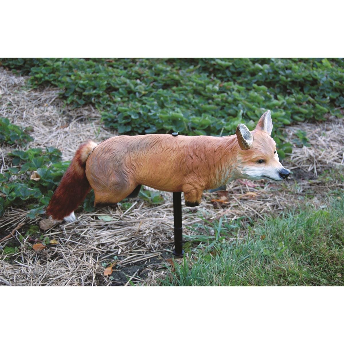 Three-Dimensional Fox Decoy