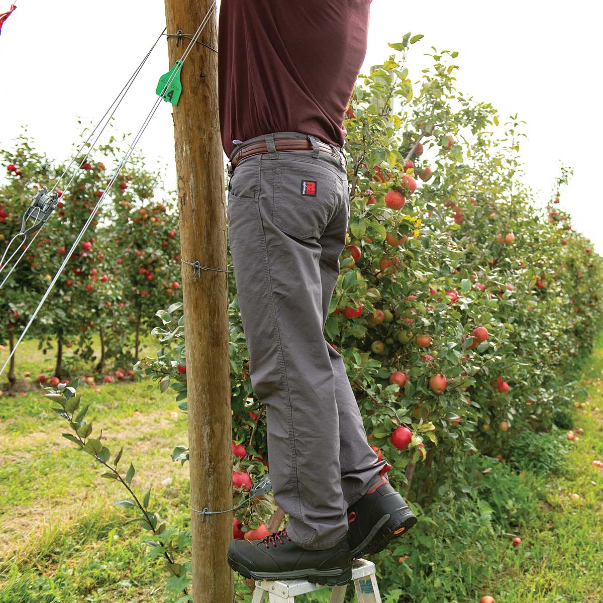 Wrangler Riggs Workwear Ripstop Ranger Cargo Pants, Slate In Use+++Wrangler Riggs Workwear Ripstop Ranger Cargo Pants, Slate In Use