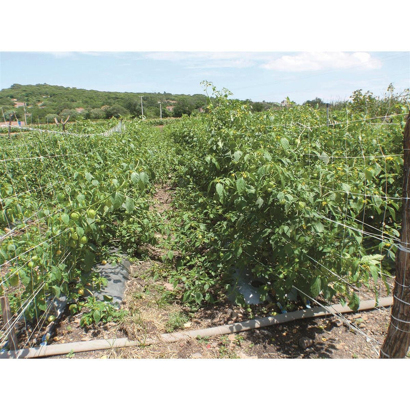 Hortonova Plant Supports