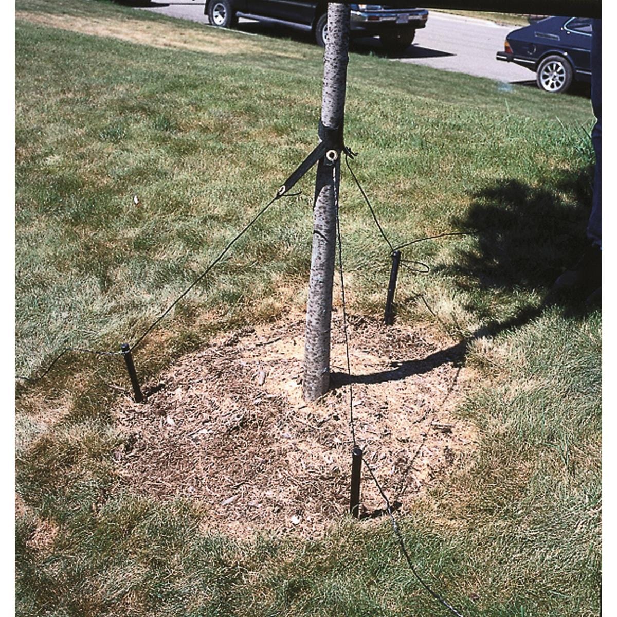 DeWitt Tree Stake Kit