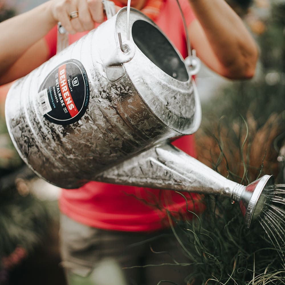 Behrens Galvanized Steel Watering Can