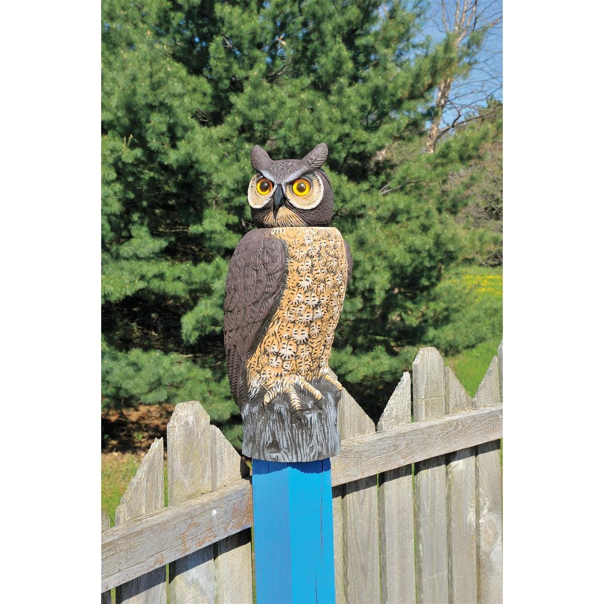 Solar-Powered Owl Decoy with Rotating Head