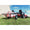 Agri-Fab 25 Gallon Trailer Sprayer