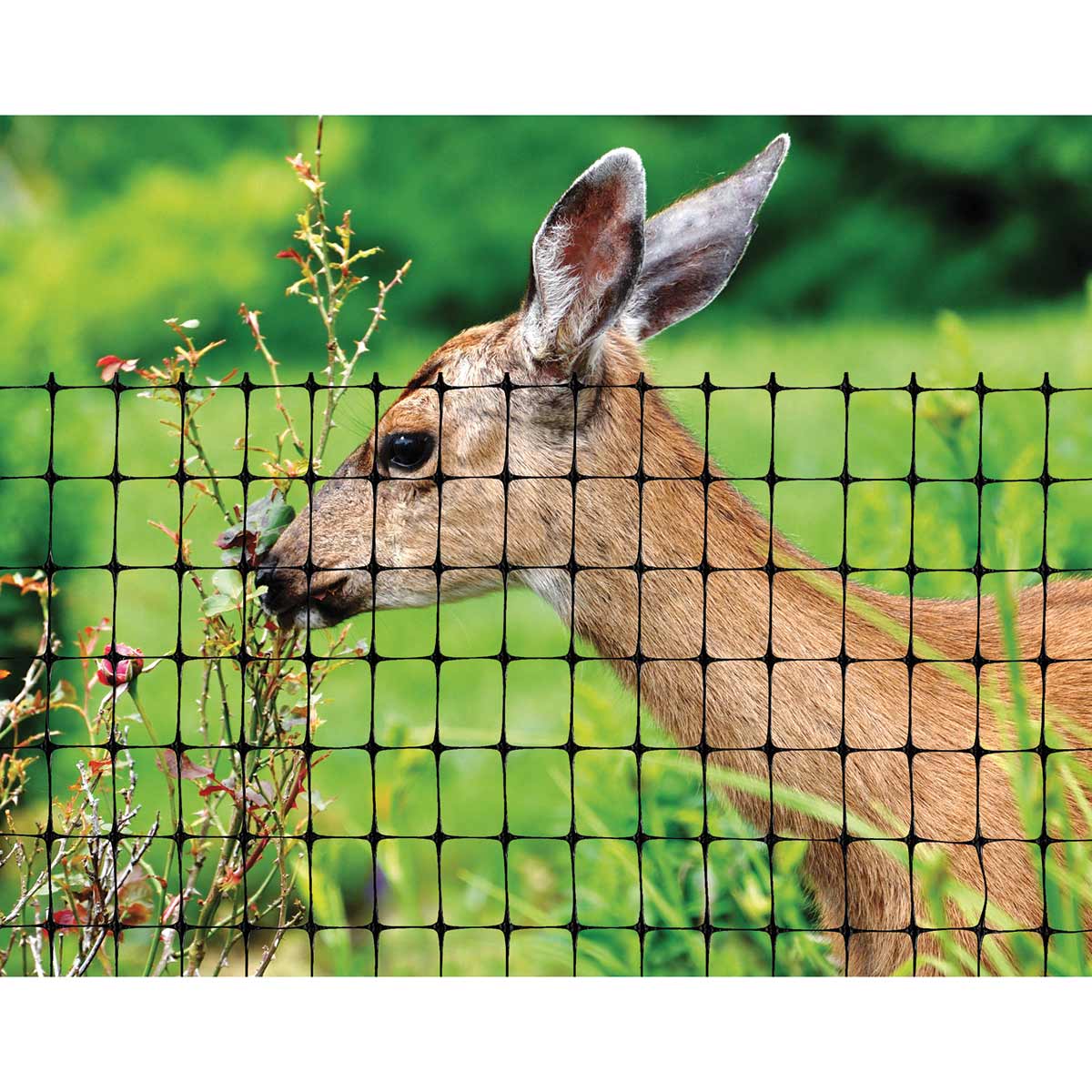 Tenax Deer Netting 7-ft x 100-ft
