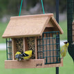 Double Option Hopper Feeder w/Suet Cages